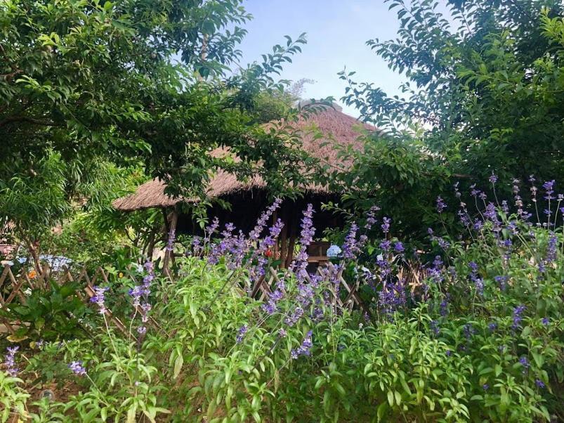 Savana Moc Chau Bed & Breakfast Eksteriør bilde