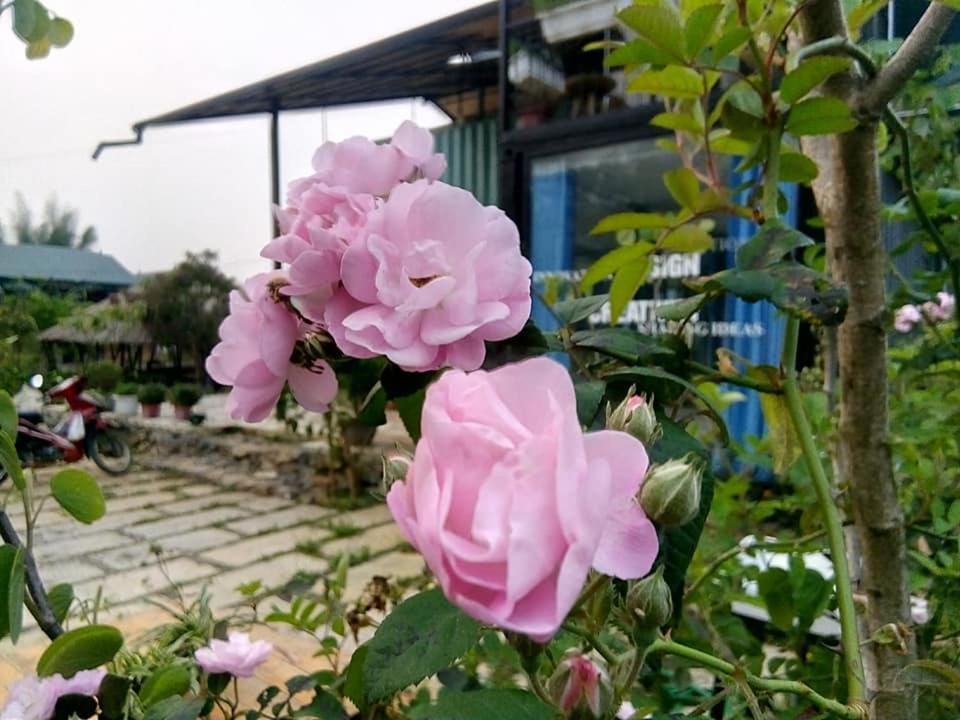 Savana Moc Chau Bed & Breakfast Eksteriør bilde